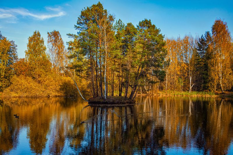 Осень. Борки. фото превью