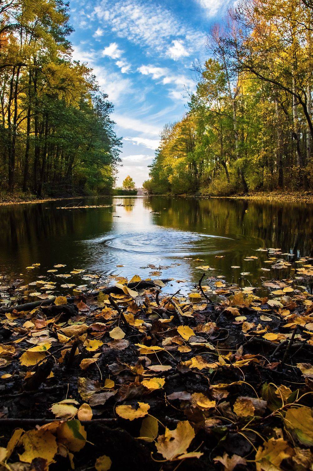 пейзаж, осень, заказник, вечер, вода, небо, отражение, Александр Игнатьев