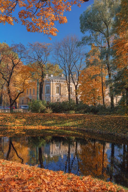 питер, санкт-петербург, осень *** фото превью