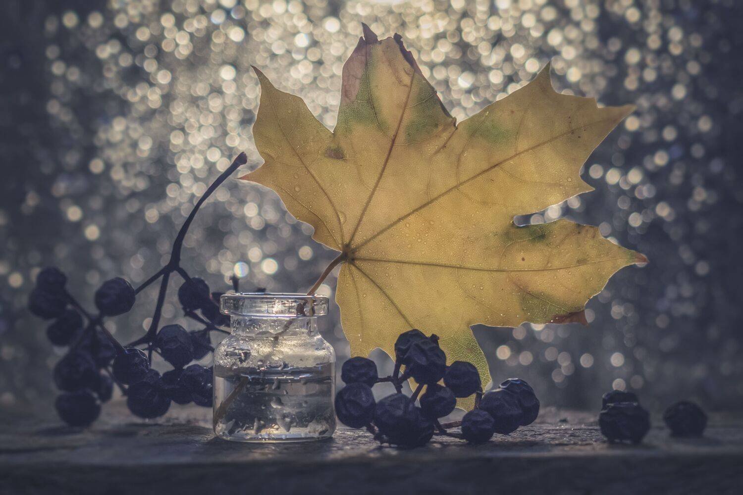 боке,осень,лист,клён,капли, Владимир Володин