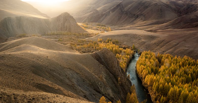осень, долина, алтай, утро, вода, река, горы, россия Урочище Кокоря... фото превью