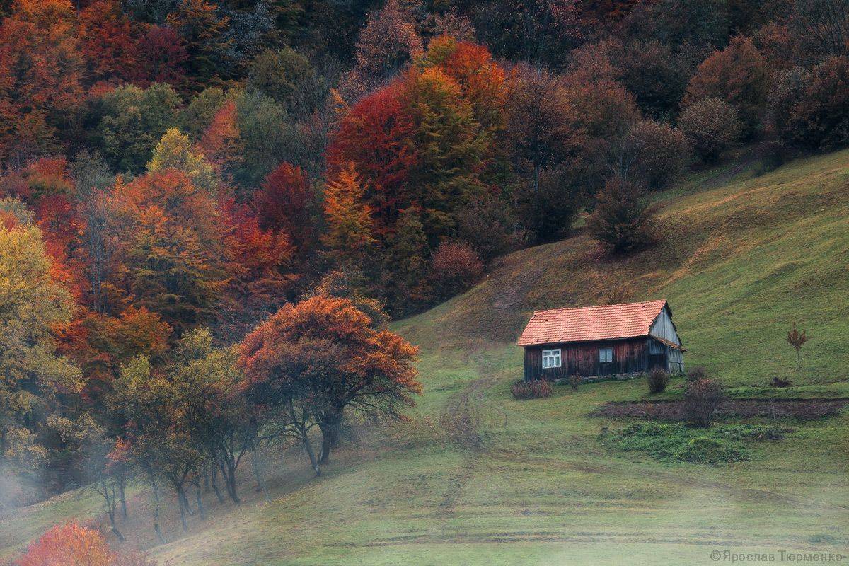 , Ярослав Тюрменко (Jaremi)