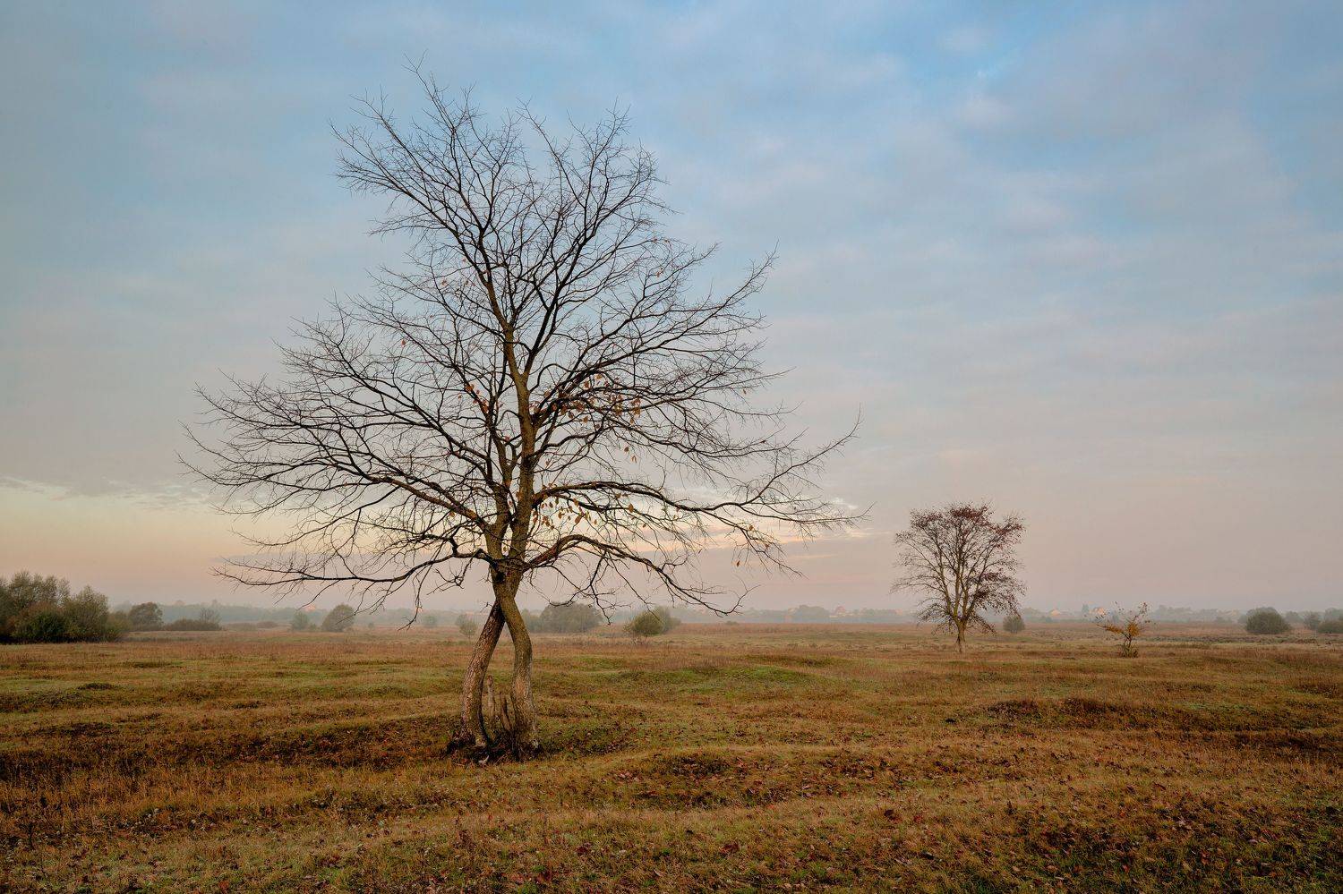 , Александр Бредихин