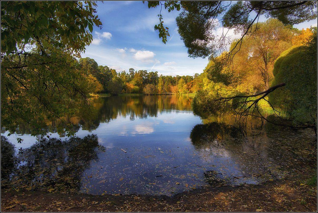 москва, озеро, АНАТОЛИЙ ДОВЫДЕНКО