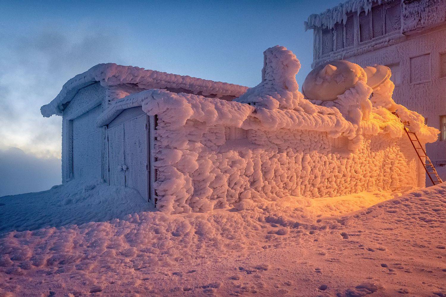 , Пламен Куденко