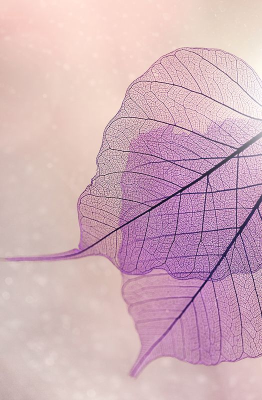 Autumn фото превью