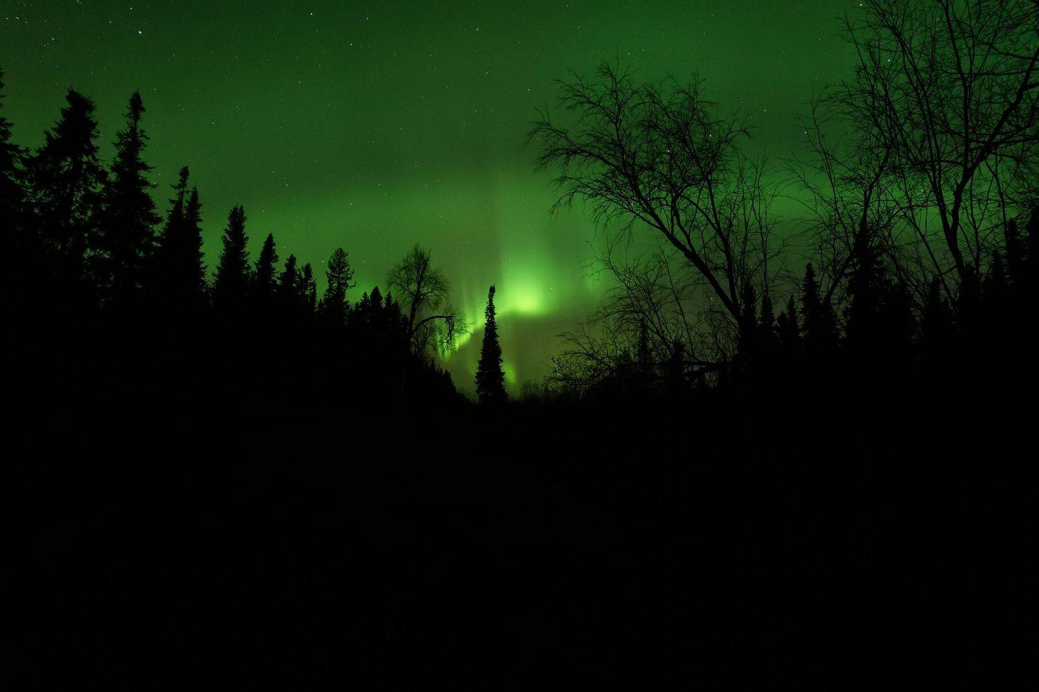 печора, северное сияние, коми, Игорь Подобаев
