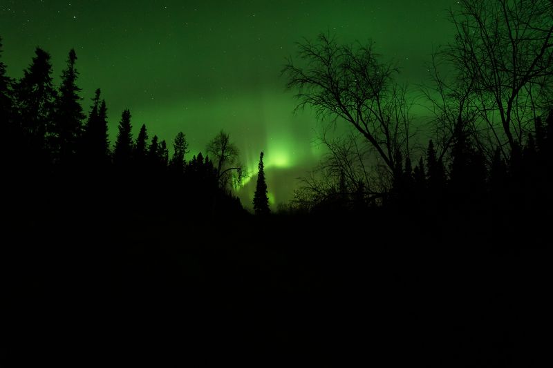 печора, северное сияние, коми Сияние в ночи фото превью