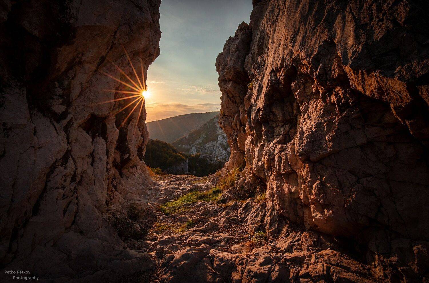 , Петко Петков