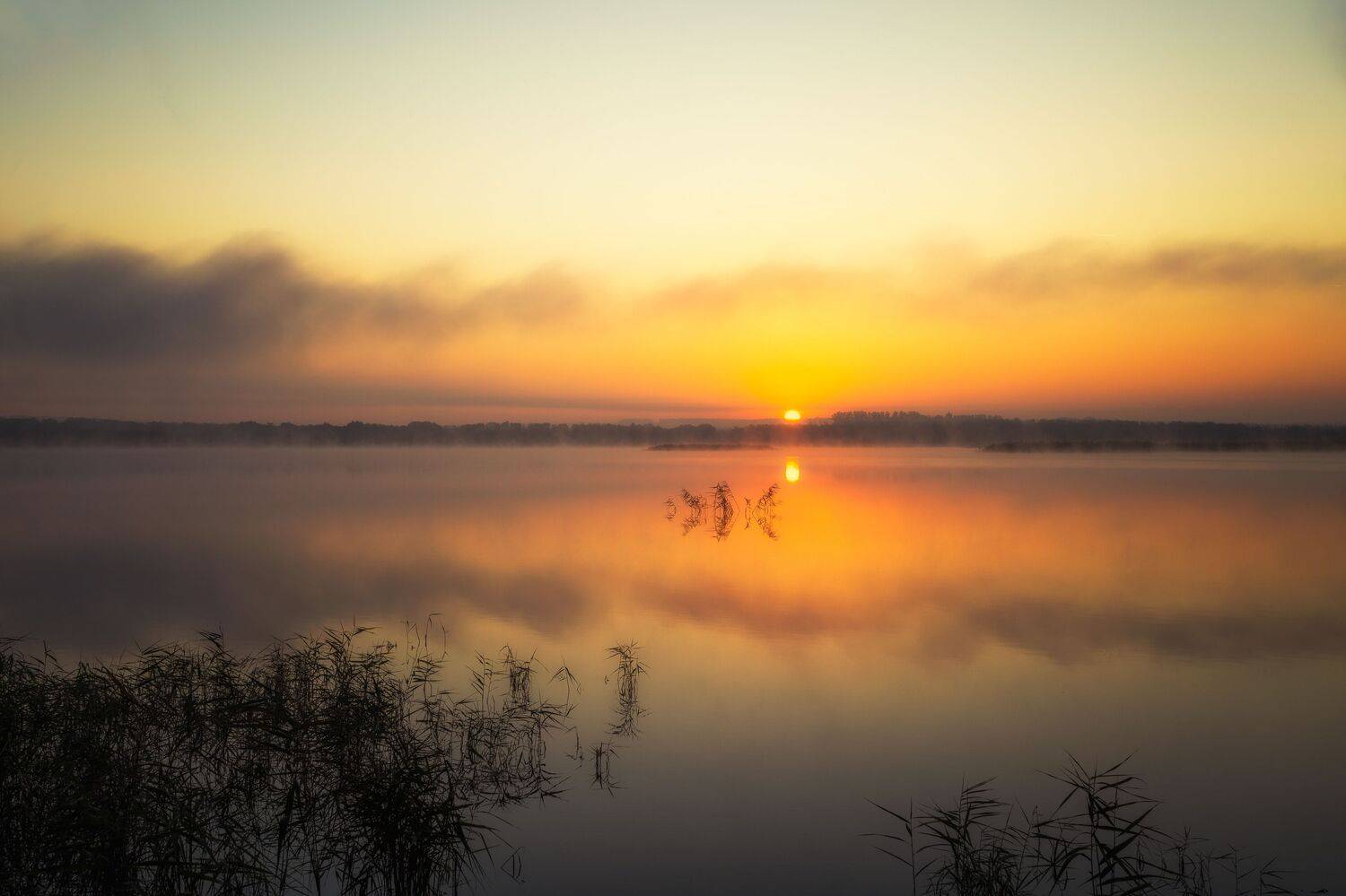 , Николай Брытков