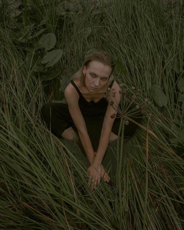 Царевна лягушка фото превью