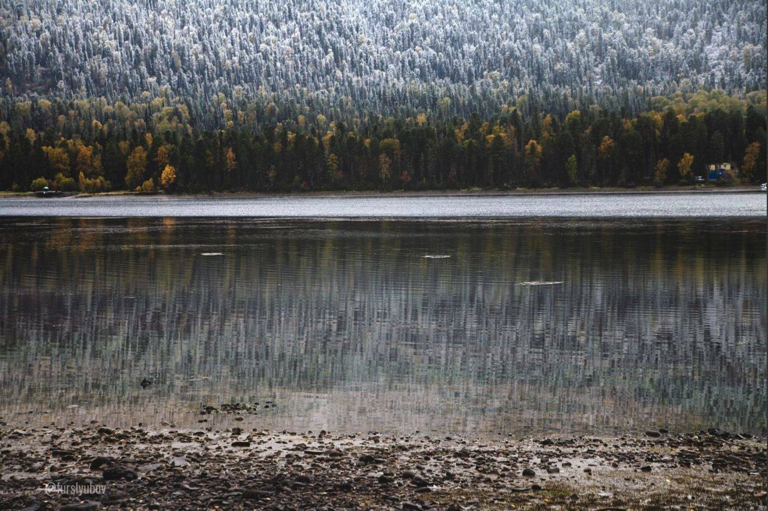 , Любовь Фурс