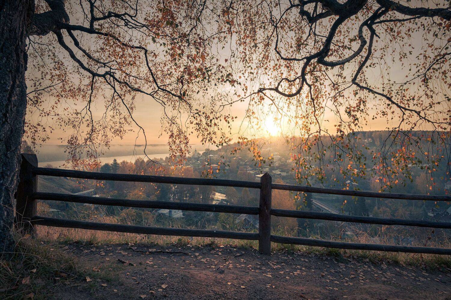 осень, золотая, плес, утро, рассвет, туман, солнце, деревья, листва, желтый, октябрь, пейзаж, Андрей Чиж