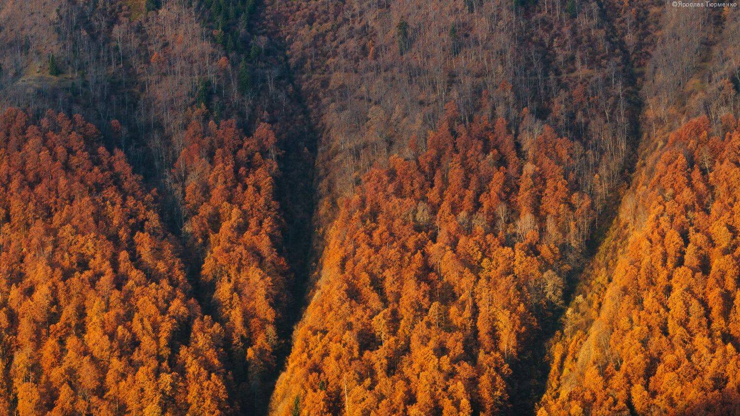 , Ярослав Тюрменко (Jaremi)