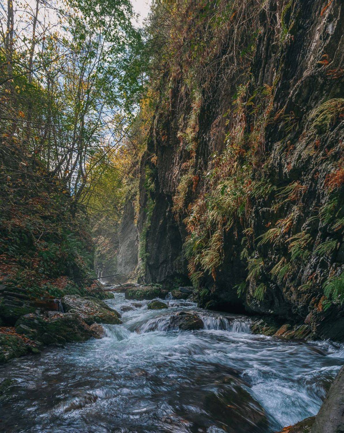 горы, ущелье, река, природа, осень, кавказ, пейзжаж,, Алиева Татьяна