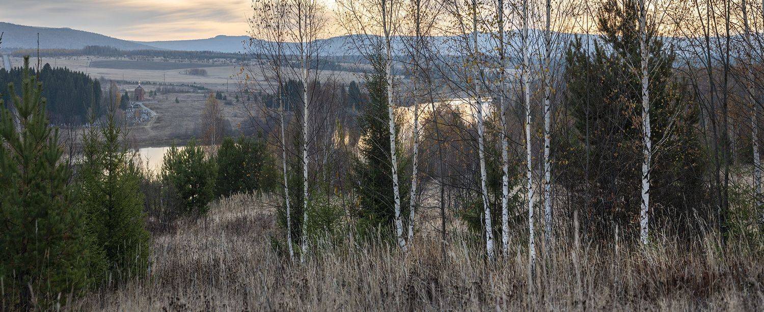 , Александр  Швачко