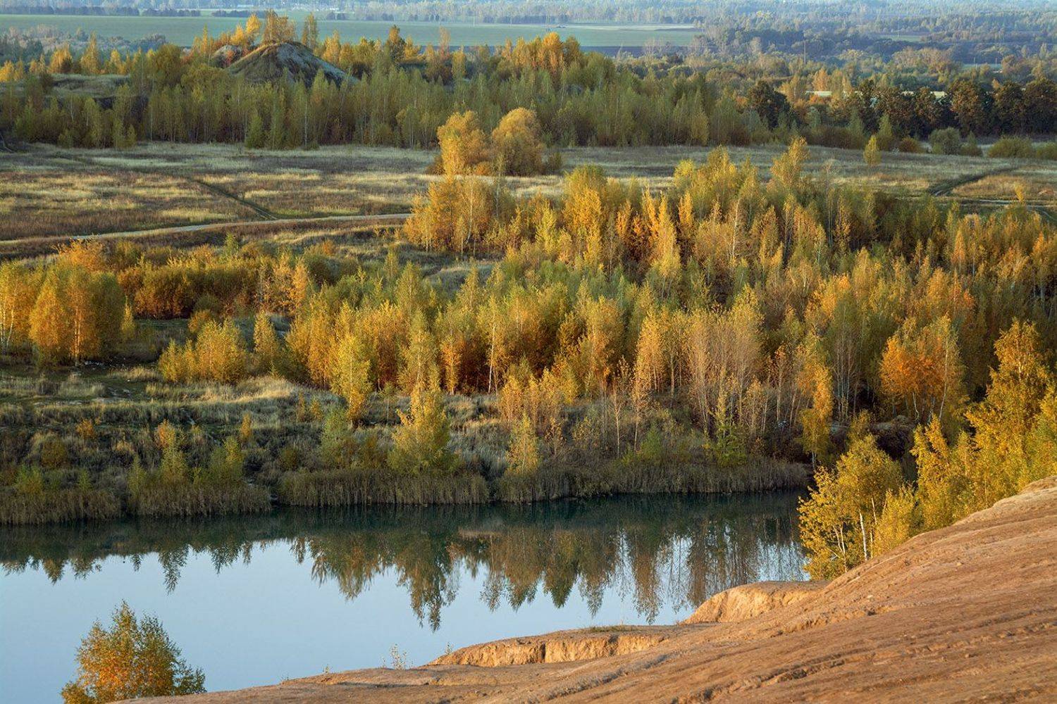 , Анатолий Зверев