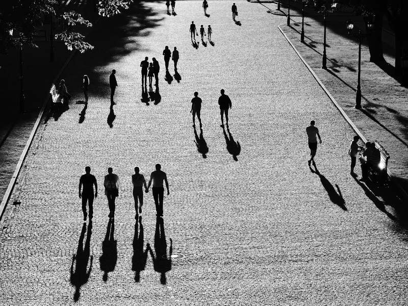 Время долгих теней фото превью