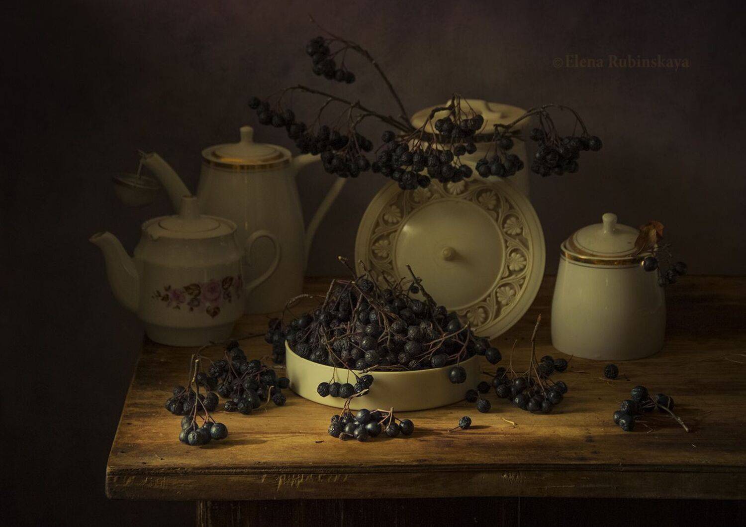 кострома, чёрная рябина, Елена Рубинская