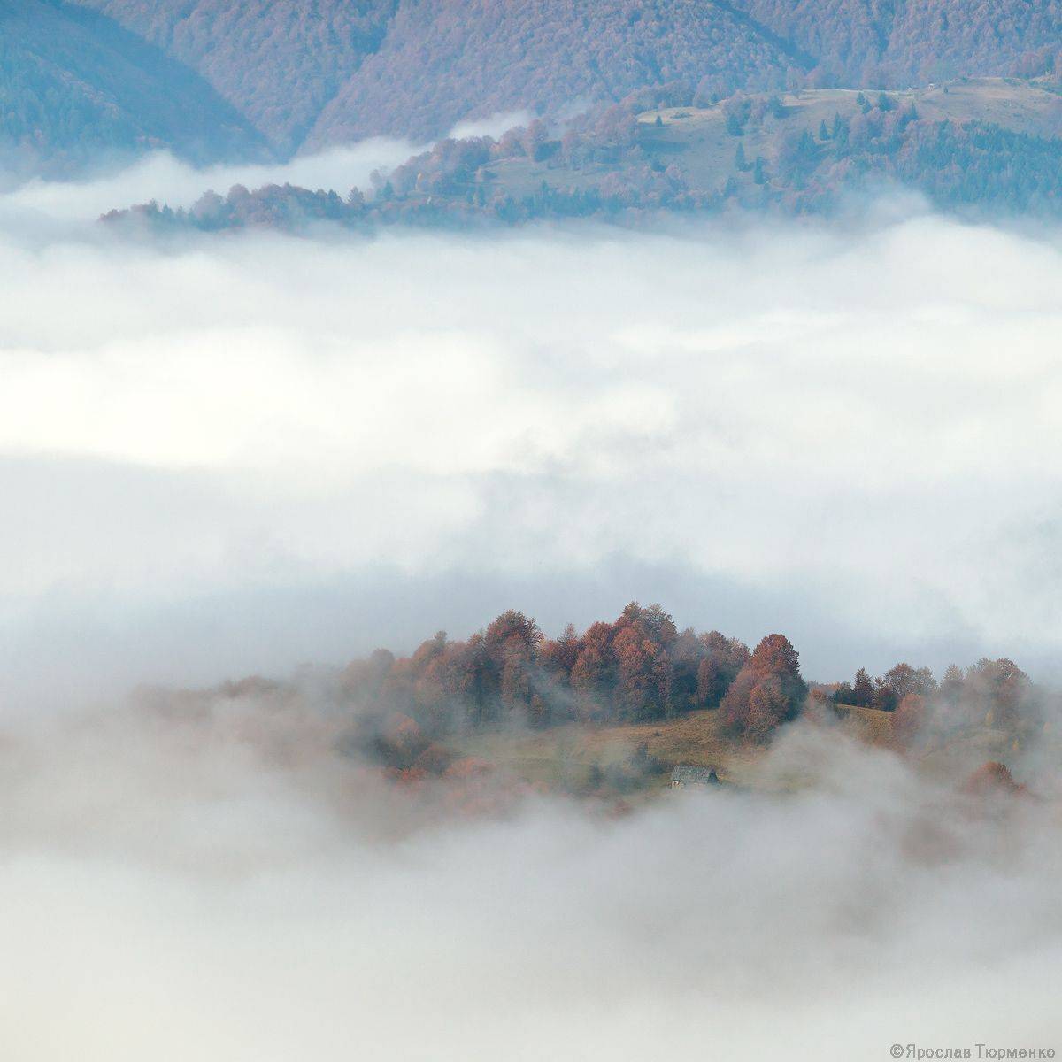 , Ярослав Тюрменко (Jaremi)