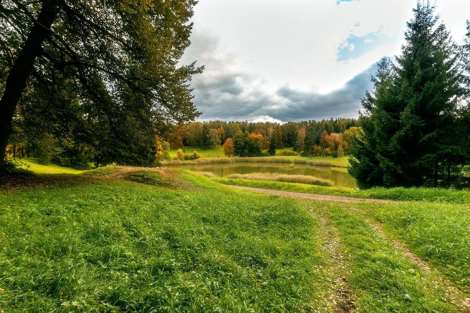 , Алексей Герасимов