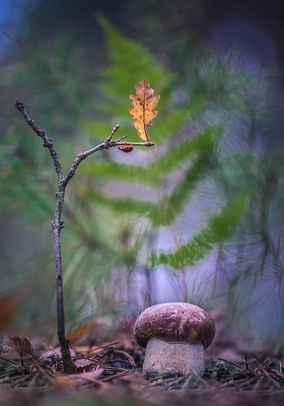 Я как осенний лист... фото превью
