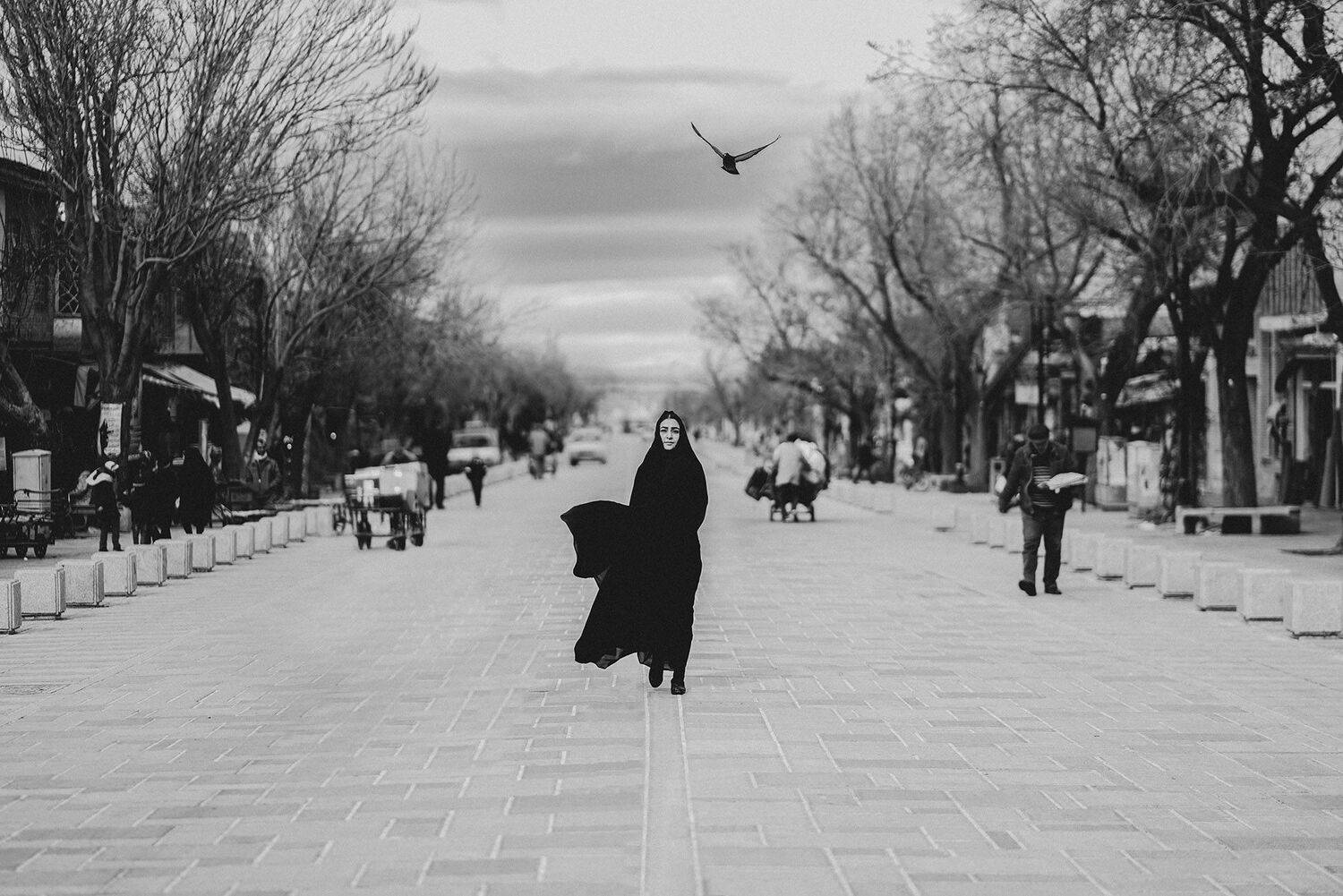 , shahin khalaji