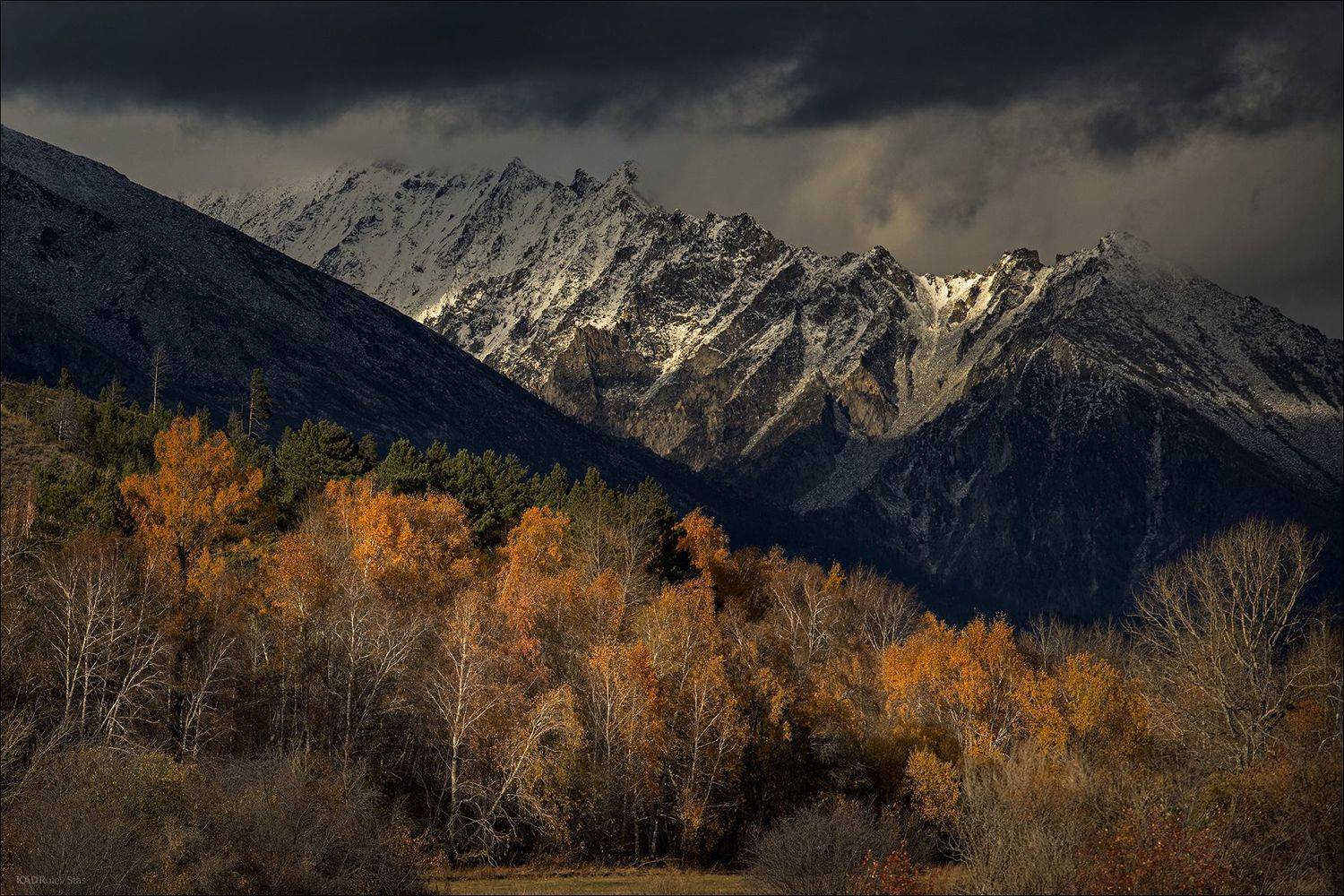 Баргузинская долина, Стас Кадрулёв