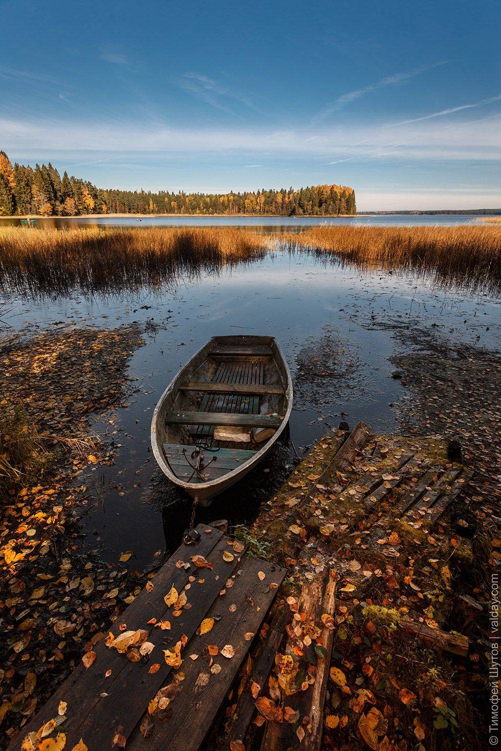валдай, Тимофей Шутов