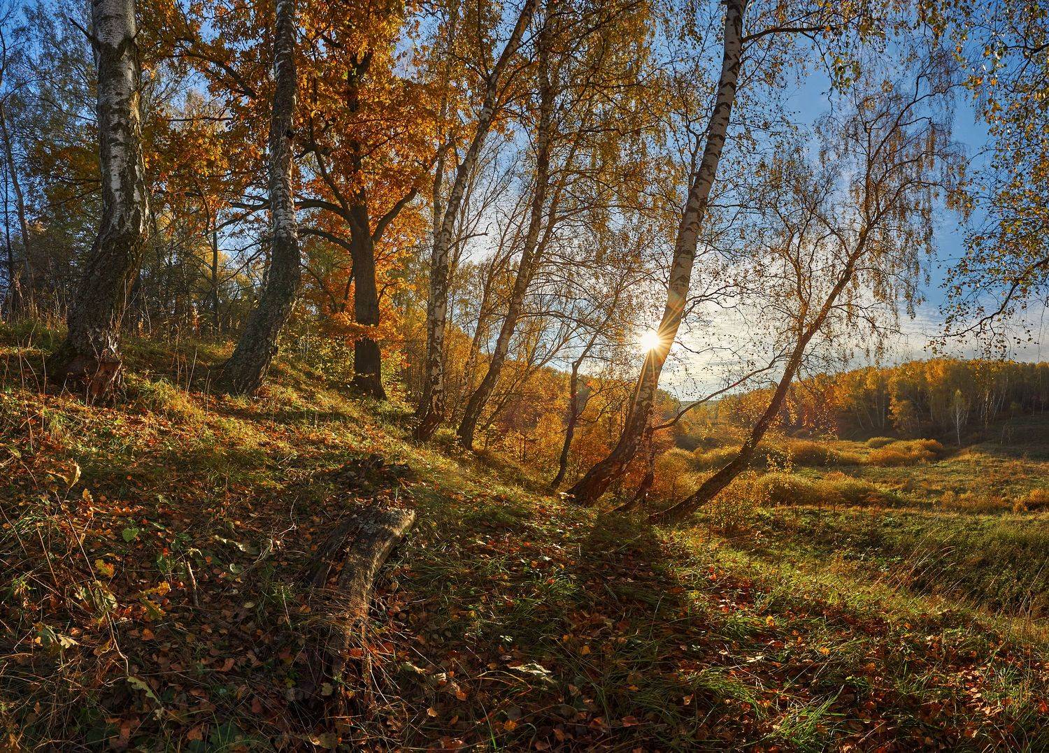 , Бурцев Дмитрий
