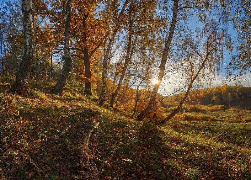 * фото превью