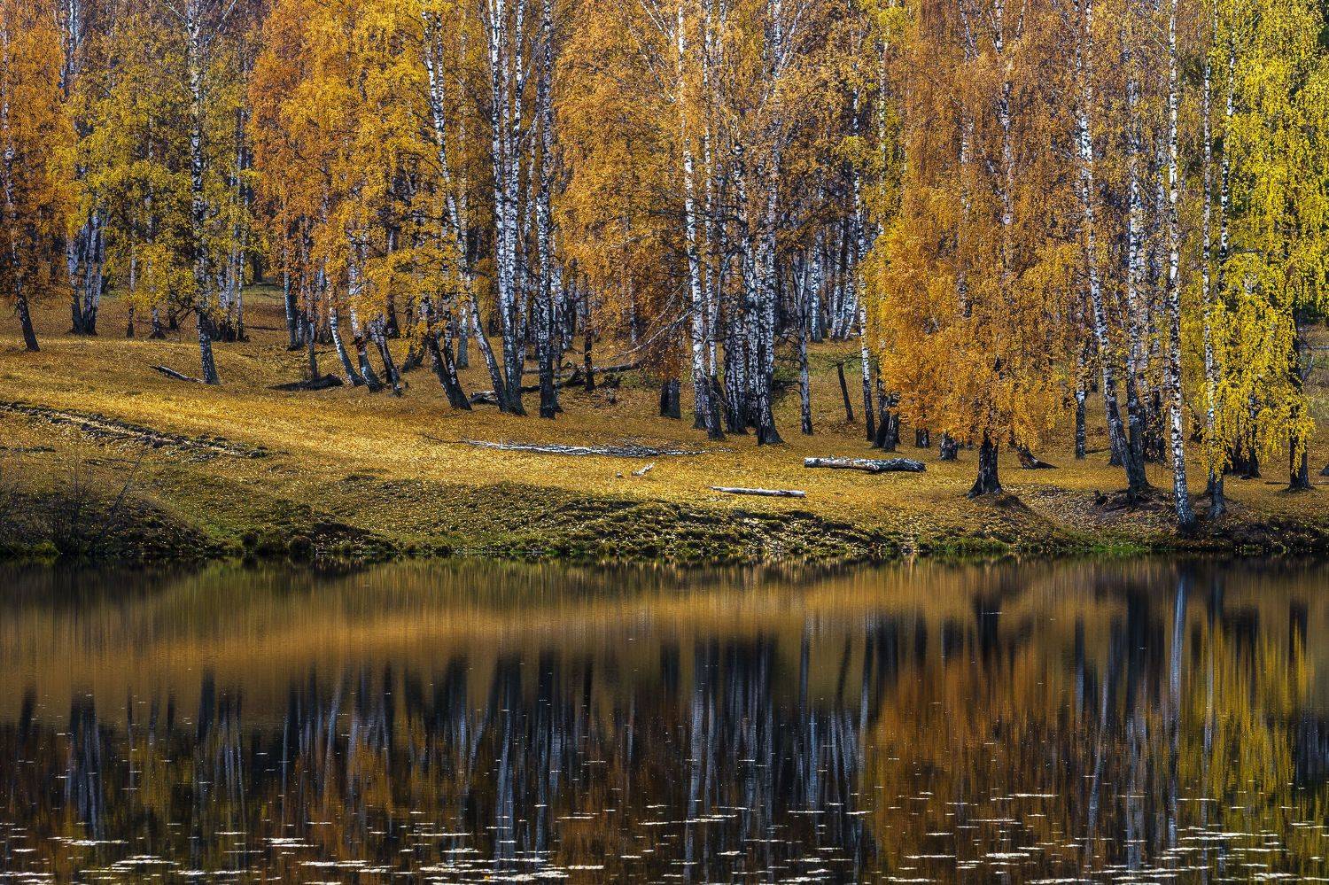 , Андрей Шарапов