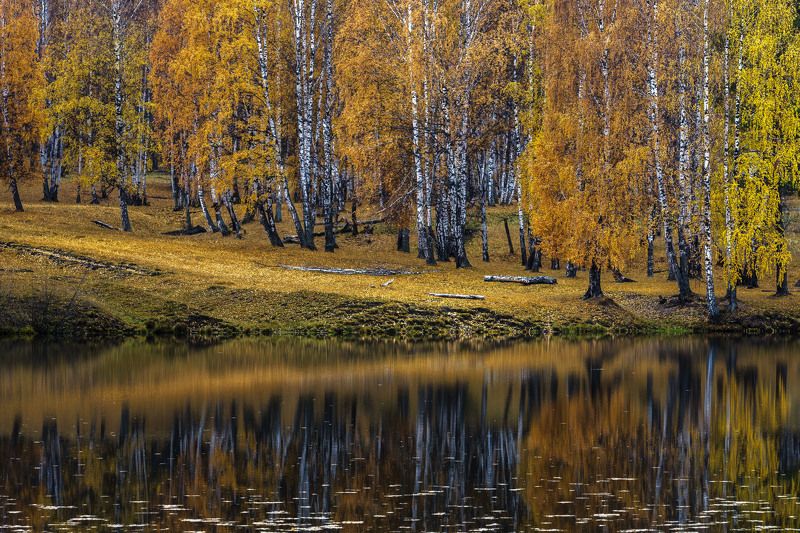 ******* фото превью