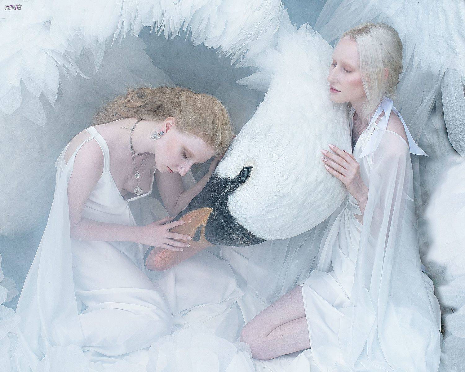 портрет, арт, миф, мифология, граи, девушки, белый, лебедь, титаны, Янина Ермакова