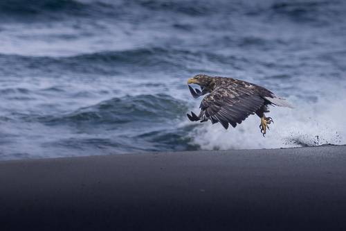 Erne starts the flight