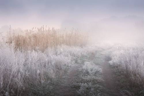 Морозным осенним утром