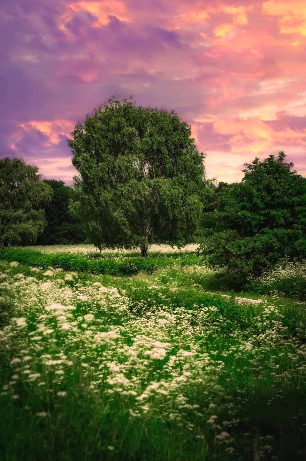 лето, summer , природа, nature, пейзаж, landscape, Julia Kaissa