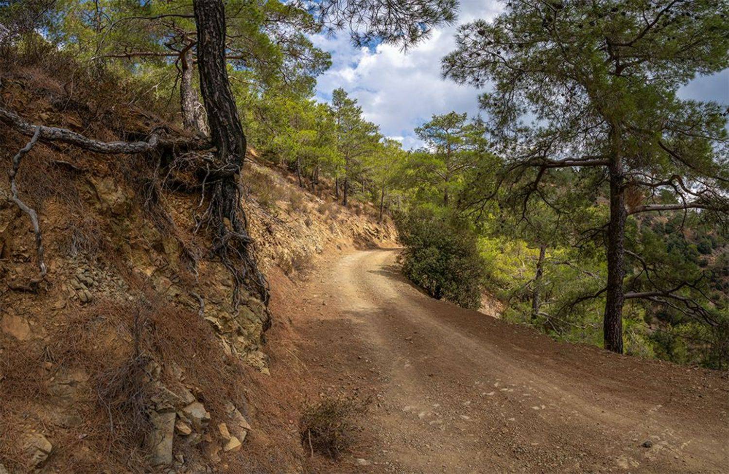 , Игорь Кляхин