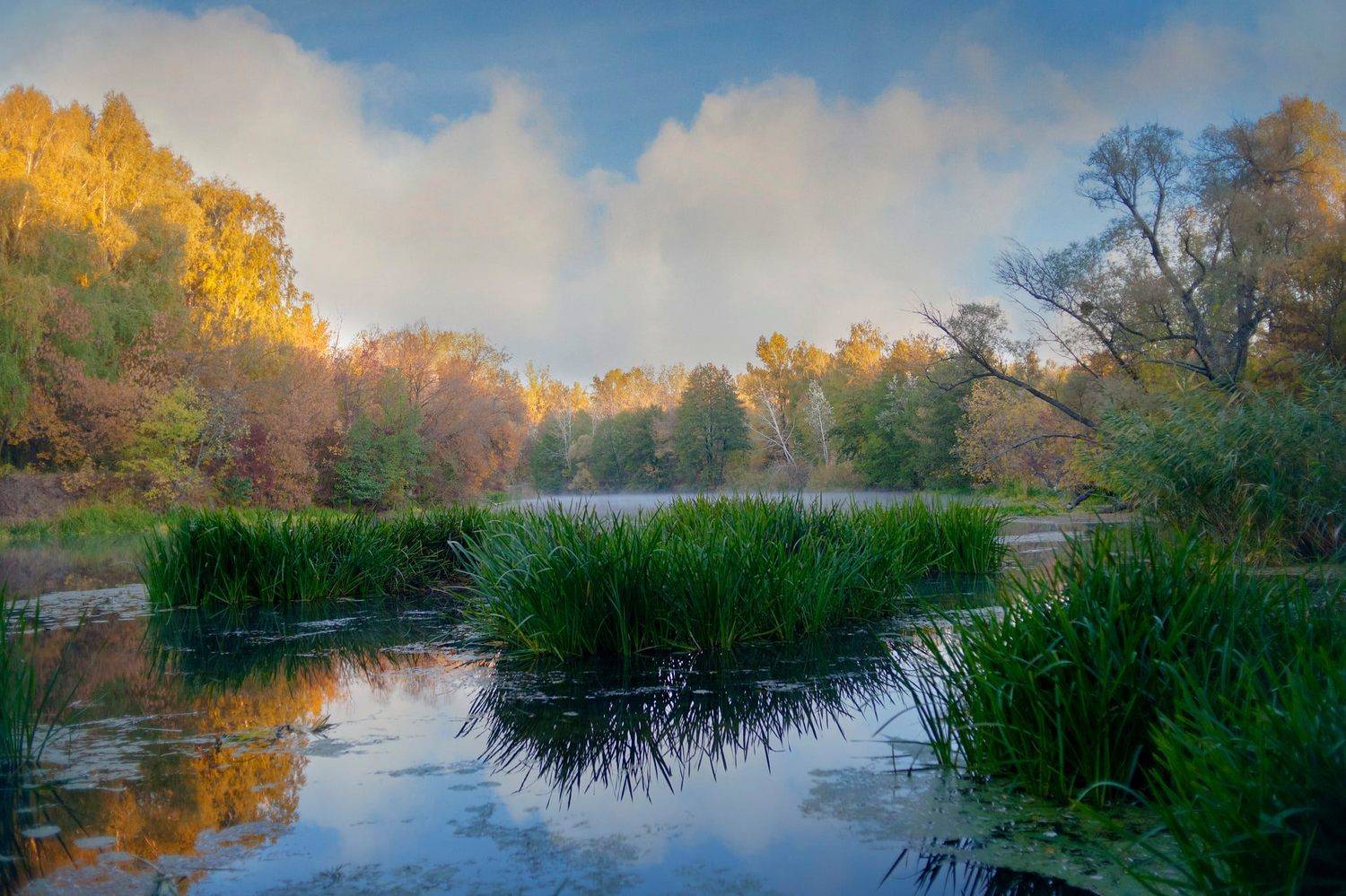 осень, река, берег, пейзаж, Roma  Chitinskiy