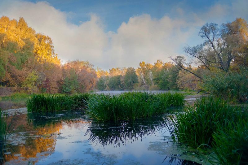 осень, река, берег, пейзаж Пейзаж как состояние души ... фото превью