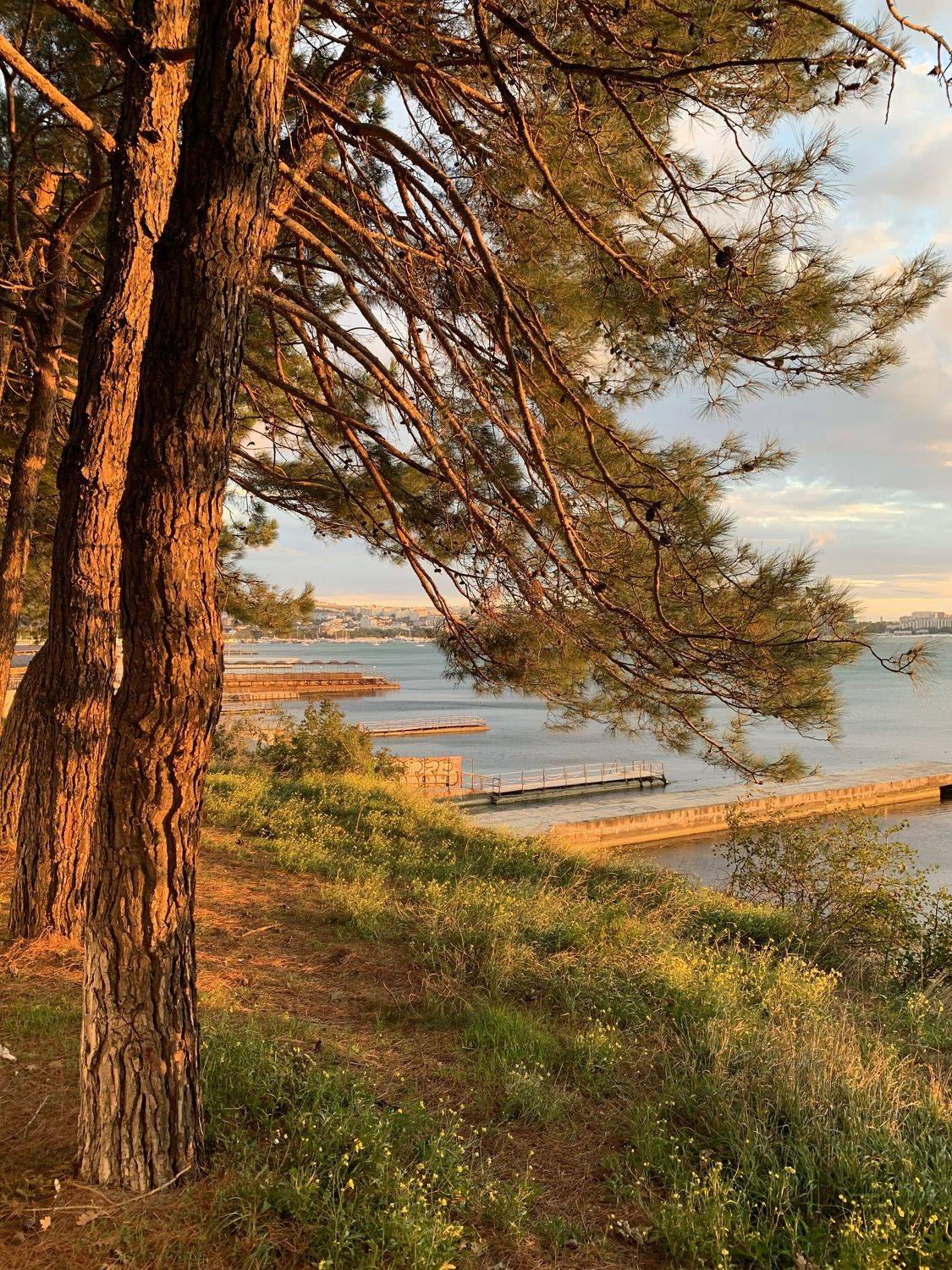 , Александр Аседач