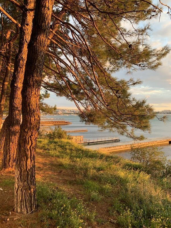 Вечерняя набережная фото превью