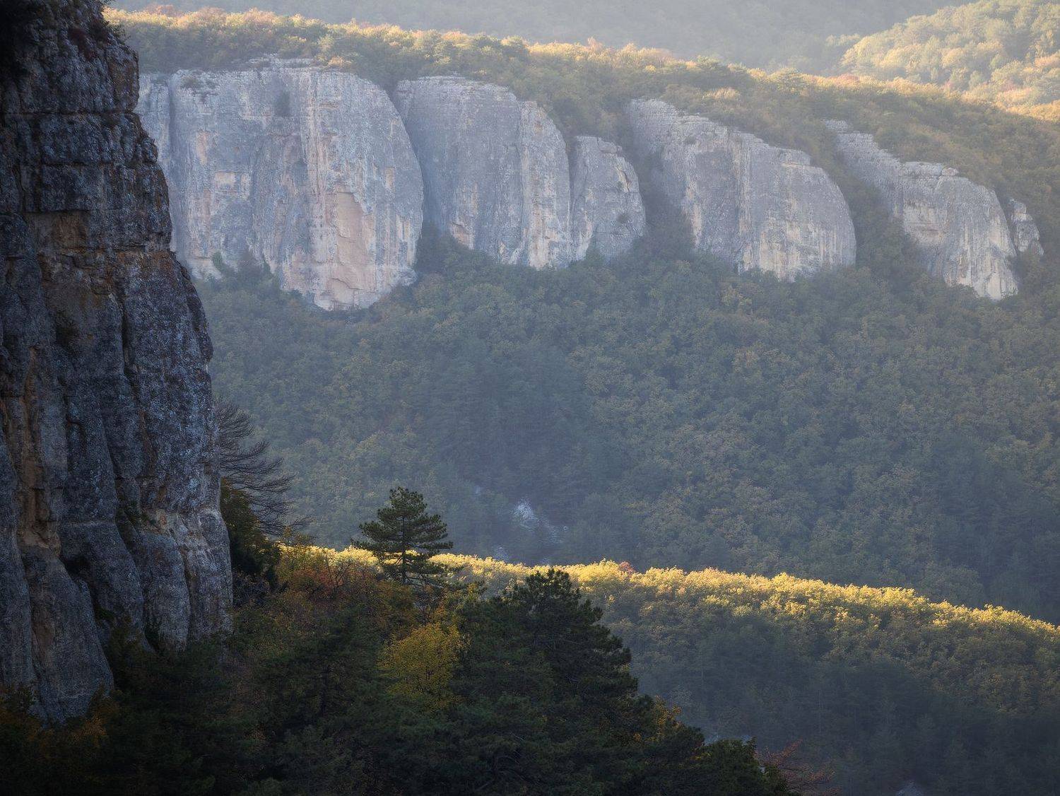 , Михаил Гапонов