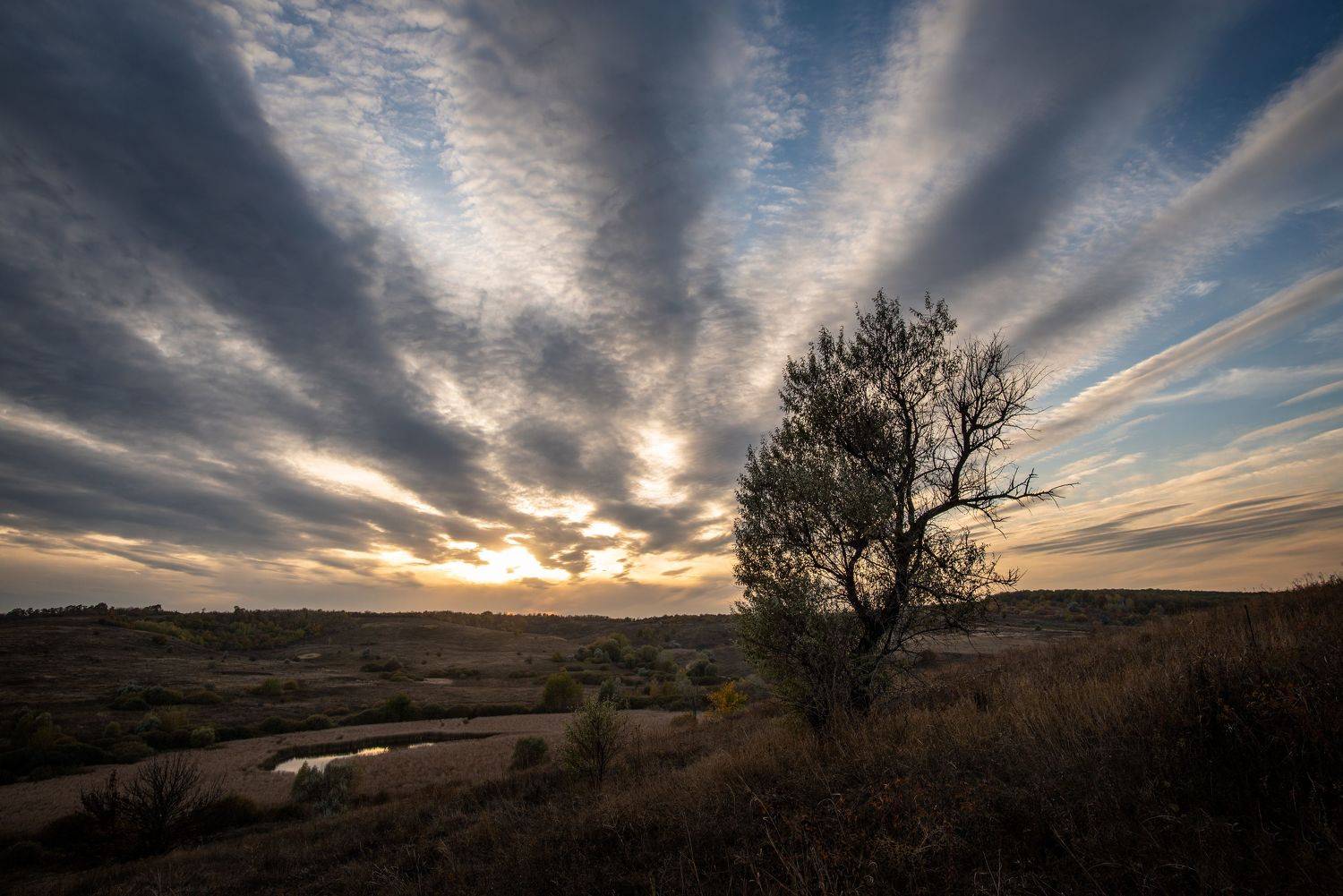 , Чистаев Александр