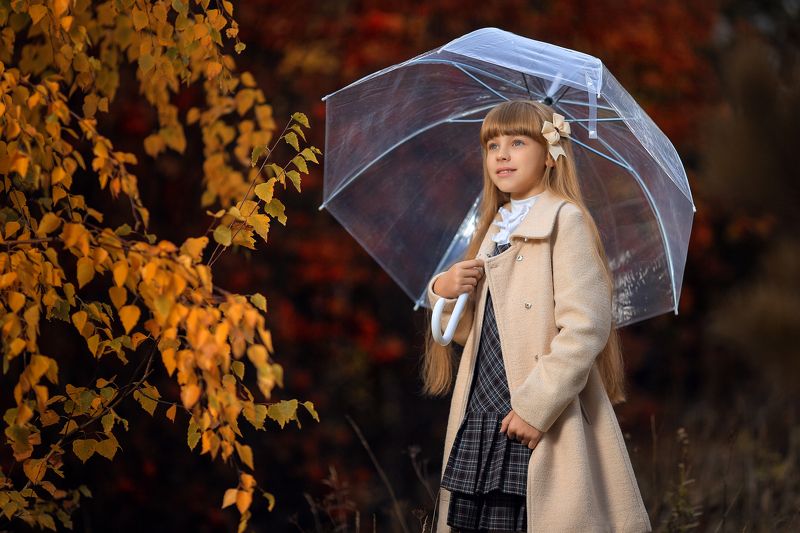 осень, красный, жёлтый, листья, открытый воздух, зонтик, девочка, молодая, солнечный, рыжий, блики Цвета осени фото превью