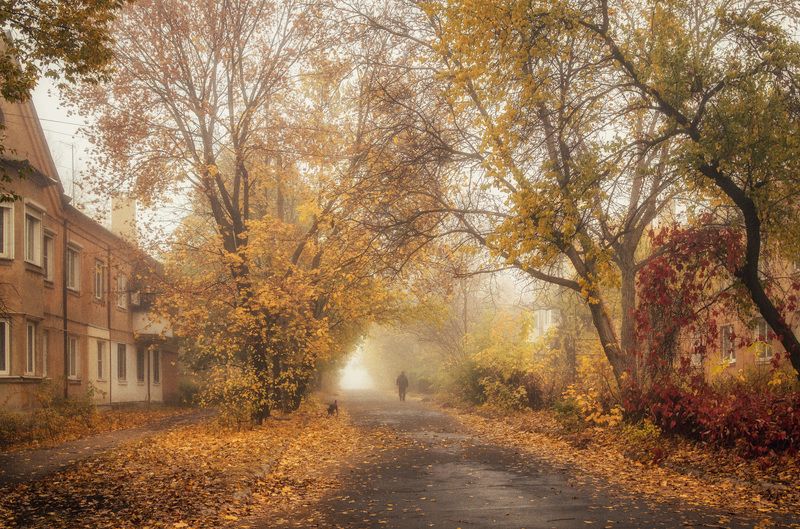 Наброски осени фото превью