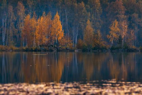Осенний пейзаж