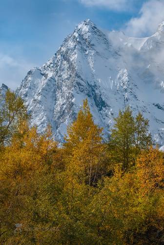 Серия «Горная осень»
