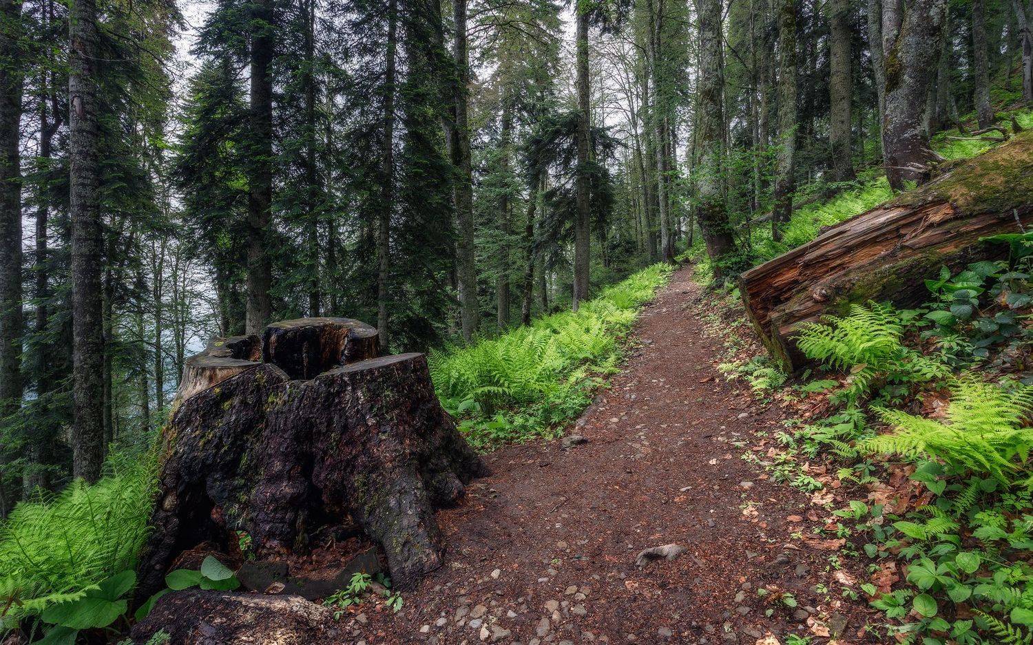 пейзаж, Сергей Сергеев