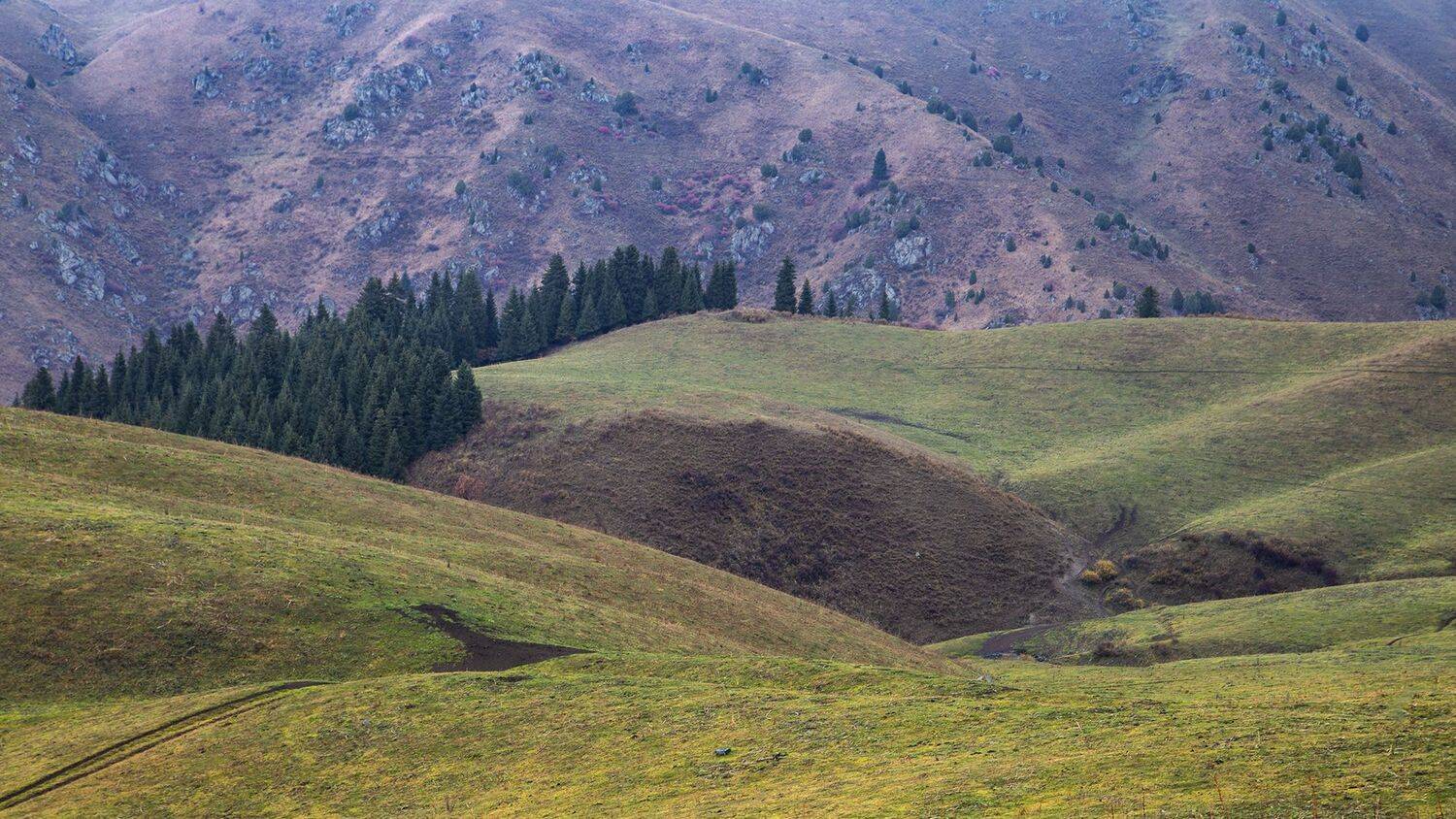кыргызстан, горы, Элина Магалимова